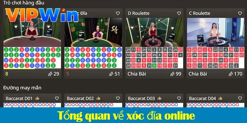 Các loại cầu thường gặp và phương pháp bắt cầu xóc đĩa chuẩn 2025