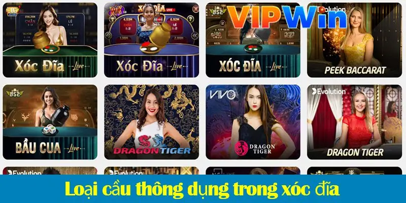Các loại cầu thường gặp và phương pháp bắt cầu xóc đĩa chuẩn 2025