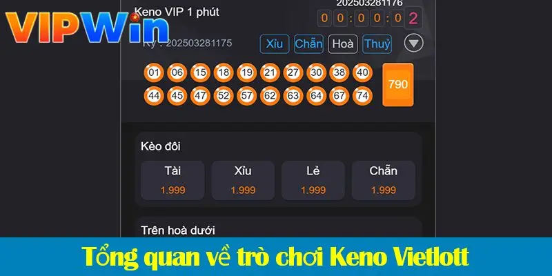 Keno Vietlott: Tìm hiểu loại cược và cách chơi trúng lớn 2025
